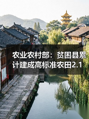 农业农村部:贫困县累计建成高标准农田2.1亿亩、农产品初加工设施4.3万座,发展农民合作社71.9万家(图4) 农业农村部:贫困县累计建成高标准农田2.1亿亩、农产品初加工设施4.3万座,发展农民合作社71.9万家(图4)