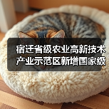 宿迁省级农业高新技术产业示范区新增国家级实践教育平台(图2) 宿迁省级农业高新技术产业示范区新增国家级实践教育平台(图2)