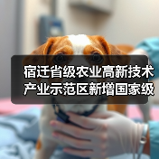 宿迁省级农业高新技术产业示范区新增国家级实践教育平台(图4) 宿迁省级农业高新技术产业示范区新增国家级实践教育平台(图4)