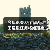 今年8000万亩高标准农田建设任务将如期完成(图1) 今年8000万亩高标准农田建设任务将如期完成(图1)