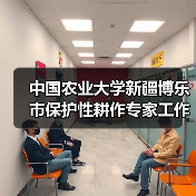 中国农业大学新疆博乐市保护性耕作专家工作站正式成立(图3) 中国农业大学新疆博乐市保护性耕作专家工作站正式成立(图3)
