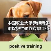 中国农业大学新疆博乐市保护性耕作专家工作站正式成立(图4) 中国农业大学新疆博乐市保护性耕作专家工作站正式成立(图4)