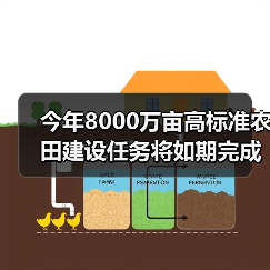 今年8000万亩高标准农田建设任务将如期完成(图4) 今年8000万亩高标准农田建设任务将如期完成(图4)