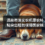 酒泉市落实农机惠农补贴突出服务保障国家粮食安全（图1）