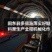 田东县多措施落实好糖料蔗生产全程机械化作业补贴政策(图2) 田东县多措施落实好糖料蔗生产全程机械化作业补贴政策(图2)