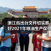 浙江省出台文件切实抓好2021年粮油生产保供工作(图3) 浙江省出台文件切实抓好2021年粮油生产保供工作(图3)