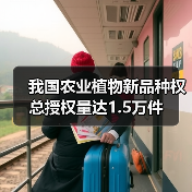 我国农业植物新品种权总授权量达1.5万件(图3) 我国农业植物新品种权总授权量达1.5万件(图3)