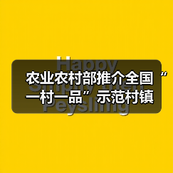 农业农村部推介全国“一村一品”示范村镇(图4) 农业农村部推介全国“一村一品”示范村镇(图4)