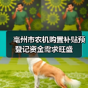 亳州市农机购置补贴预登记资金需求旺盛(图4) 亳州市农机购置补贴预登记资金需求旺盛(图4)