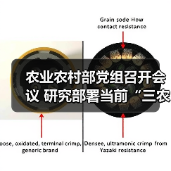 农业农村部党组召开会议 研究部署当前“三农”领域重点工作(图3) 农业农村部党组召开会议 研究部署当前“三农”领域重点工作(图3)