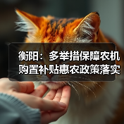 衡阳:多举措保障农机购置补贴惠农政策落实到位(图2) 衡阳:多举措保障农机购置补贴惠农政策落实到位(图2)