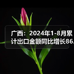 广西:2024年1-8月累计出口金额同比增长86.7%(图3) 广西:2024年1-8月累计出口金额同比增长86.7%(图3)