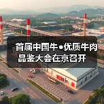 首届中国牛●优质牛肉品鉴大会在京召开(图1) 首届中国牛●优质牛肉品鉴大会在京召开(图1)