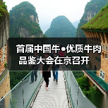 首届中国牛●优质牛肉品鉴大会在京召开(图4) 首届中国牛●优质牛肉品鉴大会在京召开(图4)