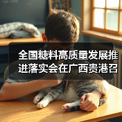 全国糖料高质量发展推进落实会在广西贵港召开 力争到2025年全国糖料种植面积稳定在2500万亩(图4) 全国糖料高质量发展推进落实会在广西贵港召开 力争到2025年全国糖料种植面积稳定在2500万亩(图4)