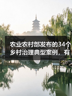 农业农村部发布的34个乡村治理典型案例,有哪些特点?(图3) 农业农村部发布的34个乡村治理典型案例,有哪些特点?(图3)
