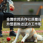 全国农民合作社质量提升整县推进试点工作取得阶段性成果 试点单位合作社社均经营收入超全国平均水平1.5倍以上(图3) 全国农民合作社质量提升整县推进试点工作取得阶段性成果 试点单位合作社社均经营收入超全国平均水平1.5倍以上(图3)