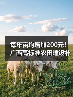 每年亩均增加200元!广西高标准农田建设补助再度加码(图2) 每年亩均增加200元!广西高标准农田建设补助再度加码(图2)