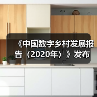 《中国数字乡村发展报告(2020年)》发布(图1) 《中国数字乡村发展报告(2020年)》发布(图1)