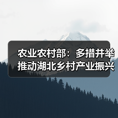 农业农村部:多措并举推动湖北乡村产业振兴(图4) 农业农村部:多措并举推动湖北乡村产业振兴(图4)