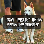 宿城“四强化”推进农机购置补贴政策落实(图1) 宿城“四强化”推进农机购置补贴政策落实(图1)