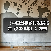 《中国数字乡村发展报告(2020年)》发布(图3) 《中国数字乡村发展报告(2020年)》发布(图3)