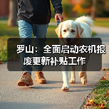 罗山:全面启动农机报废更新补贴工作(图4) 罗山:全面启动农机报废更新补贴工作(图4)