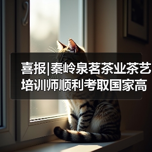喜报|秦岭泉茗茶业茶艺培训师顺利考取国家高级技师证书(图2) 喜报|秦岭泉茗茶业茶艺培训师顺利考取国家高级技师证书(图2)
