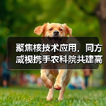 聚焦核技术应用,同方威视携手农科院共建高能电子农业应用产业研究院(图3) 聚焦核技术应用,同方威视携手农科院共建高能电子农业应用产业研究院(图3)