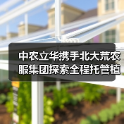 中农立华携手北大荒农服集团探索全程托管植保服务新模式!(图3) 中农立华携手北大荒农服集团探索全程托管植保服务新模式!(图3)