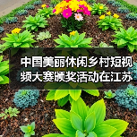 中国美丽休闲乡村短视频大赛颁奖活动在江苏举行(图2) 中国美丽休闲乡村短视频大赛颁奖活动在江苏举行(图2)