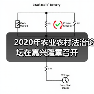 2020年农业农村法治论坛在嘉兴隆重召开(图4) 2020年农业农村法治论坛在嘉兴隆重召开(图4)
