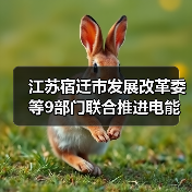 江苏宿迁市发展改革委等9部门联合推进电能替代工作（图3）
