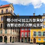 每小时可加工万条黄鳝 省智能农机创新成果亮相仙桃黄鳝节(图1) 每小时可加工万条黄鳝 省智能农机创新成果亮相仙桃黄鳝节(图1)