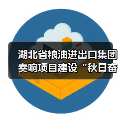 湖北省粮油进出口集团奏响项目建设“秋日奋进曲”(图4) 湖北省粮油进出口集团奏响项目建设“秋日奋进曲”(图4)