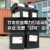 甘肃农垦倾力打造设施农业 戈壁“甘味”迎来逆袭(图3) 甘肃农垦倾力打造设施农业 戈壁“甘味”迎来逆袭(图3)
