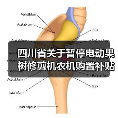四川省关于暂停电动果树修剪机农机购置补贴的通知(图4) 四川省关于暂停电动果树修剪机农机购置补贴的通知(图4)