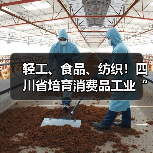 轻工、食品、纺织!四川省培育消费品工业“三品”标杆(图1) 轻工、食品、纺织!四川省培育消费品工业“三品”标杆(图1)