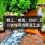 轻工、食品、纺织!四川省培育消费品工业“三品”标杆(图4) 轻工、食品、纺织!四川省培育消费品工业“三品”标杆(图4)