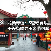 龙桑寺镇:5套粮食烘干设备助力玉米节粮减损(图3) 龙桑寺镇:5套粮食烘干设备助力玉米节粮减损(图3)