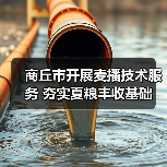 商丘市开展麦播技术服务 夯实夏粮丰收基础(图3) 商丘市开展麦播技术服务 夯实夏粮丰收基础(图3)