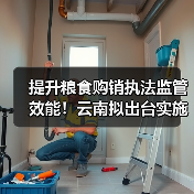 提升粮食购销执法监管效能!云南拟出台实施细则(图3) 提升粮食购销执法监管效能!云南拟出台实施细则(图3)