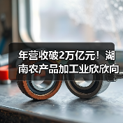 年营收破2万亿元!湖南农产品加工业欣欣向荣(图3) 年营收破2万亿元!湖南农产品加工业欣欣向荣(图3)