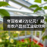 年营收破2万亿元!湖南农产品加工业欣欣向荣(图2) 年营收破2万亿元!湖南农产品加工业欣欣向荣(图2)