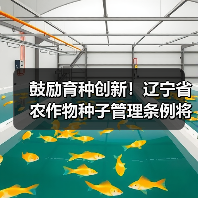 鼓励育种创新!辽宁省农作物种子管理条例将施行(图2) 鼓励育种创新!辽宁省农作物种子管理条例将施行(图2)