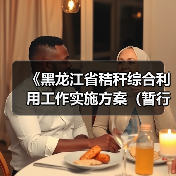 《黑龙江省秸秆综合利用工作实施方案(暂行)》政策解读(图3) 《黑龙江省秸秆综合利用工作实施方案(暂行)》政策解读(图3)