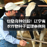 鼓励育种创新!辽宁省农作物种子管理条例将施行(图3) 鼓励育种创新!辽宁省农作物种子管理条例将施行(图3)