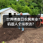 世界粮食日农民失业?机器人全揽农活?(图1) 世界粮食日农民失业?机器人全揽农活?(图1)