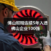 佛山照明连续5年入选佛山企业100强(图3) 佛山照明连续5年入选佛山企业100强(图3)
