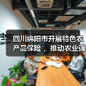 四川绵阳市开展特色农产品保险 ,推动农业强市建设(图2) 四川绵阳市开展特色农产品保险 ,推动农业强市建设(图2)